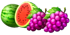 Watermelon Symbol