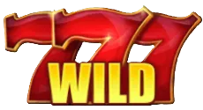 Wild Symbol